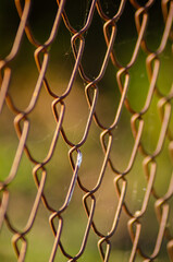 Close up of chain link fence with blurred landscape and setting sun in the background, selective focus