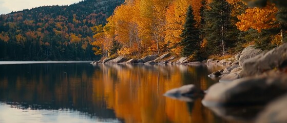 Obraz premium A crystal-clear body of water encircled by trees sporting orange and yellow leaves, overhead, with rocks lining its base