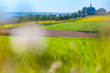 Taunuslandschaft