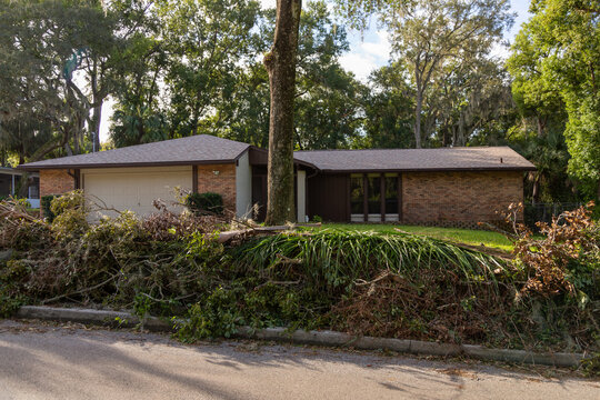 Huge pile of yard debris with house in the background