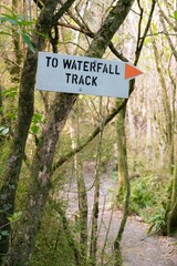 Sign 'To Waterfall Track' in Forest - Scenic Hiking Path Guide