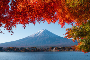 Mount Fuji with maple tree during a sunny day in autumn season on lake Kawaguchi