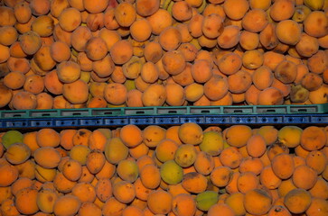 Ripe, juicy apricots, packaged in plastic boxes.