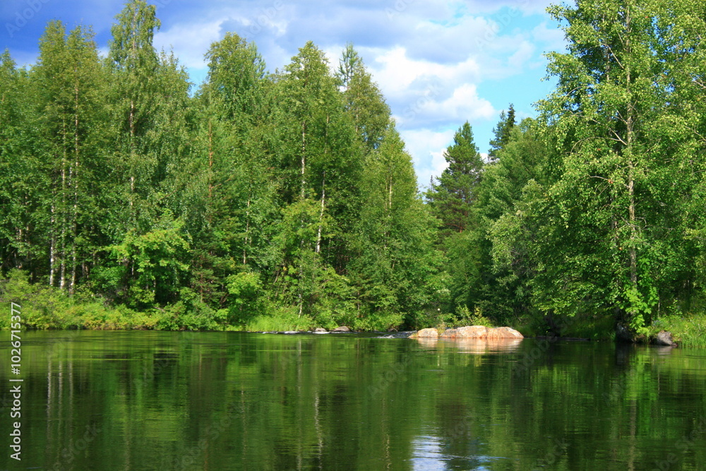 Wall mural lake and forest