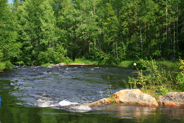 lake in the forest