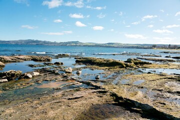 Rocky Shore of Lake Taupo - Stunning Natural Landscape in New Zealand