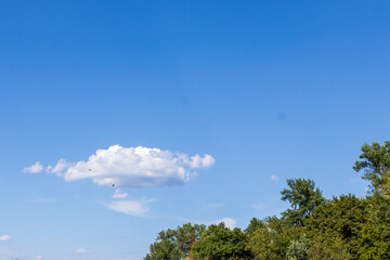 Obraz premium The summer period in nature , the sky on a sunny day with voluminous clouds