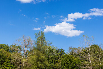 The summer period in nature , the sky on a sunny day with voluminous clouds