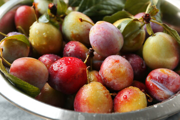 Ripe plums and leaves in colander on table, closeup