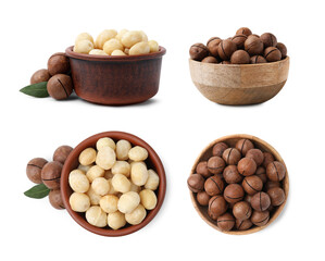 Macadamia nuts in bowls isolated on white, top and side views