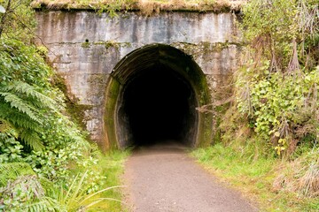 Footpath Leading into Dark Tunnel in the Forest - Mysterious Nature Path