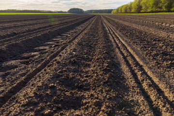 Empty freshly sown field, early spring, agricultural field, wide angle lens