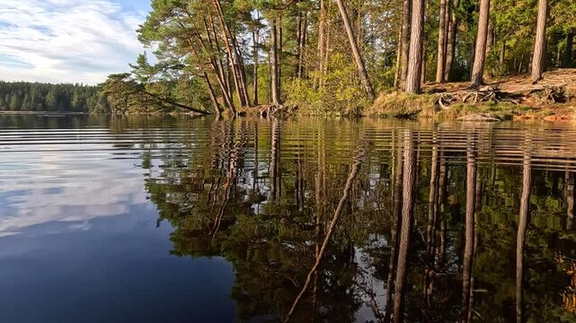 Waldviertler Spiegelungen am Edlesbergersee 