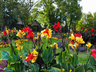 Cleopatra Canna Lilies and Red Canna Lilies planted throughout a colorful and nicely landscaped...
