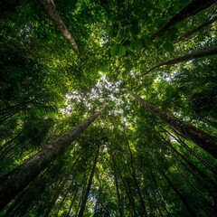 Obraz premium sustainable forest management practices conservation methods and their role in protecting biodiversity and combating climate change