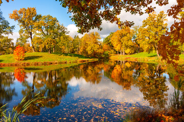 Autumn foliage in Alexander park, Tsarskoe Selo (Pushkin), St. Petersburg, Russia