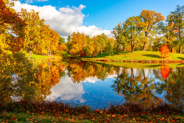 Autumn foliage in Alexander park, Tsarskoe Selo (Pushkin), St. Petersburg, Russia