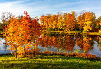 Autumn foliage in Alexander park, Tsarskoe Selo (Pushkin), St. Petersburg, Russia