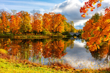 Autumn foliage in Alexander park, Tsarskoe Selo (Pushkin), St. Petersburg, Russia