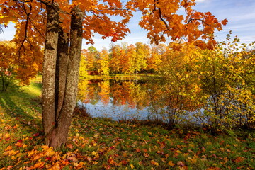 Alexander park in autumn, Pushkin (Tsarskoe Selo), St. Petersburg, Russia