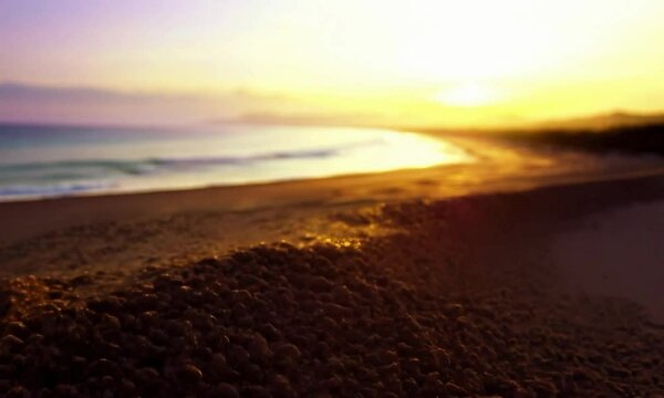 shot with sunrise colors: The camera starts close to the sand, capturing the vibrant colors of the sunrise, then rises to reveal the full breadth of the beach and ocean illuminated by the morning ligh