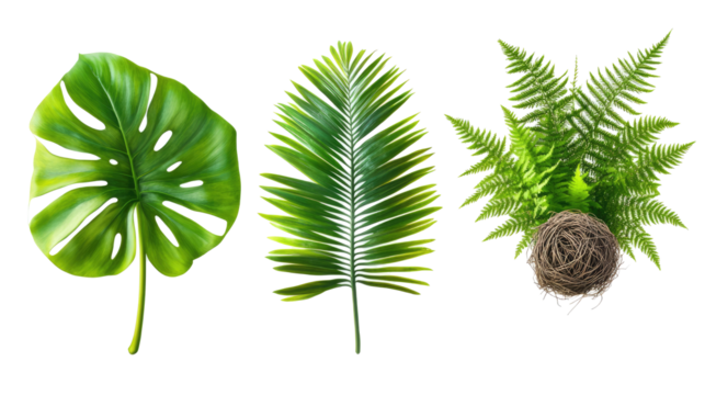 Tropical Plant Leaves Collection  Generative AI