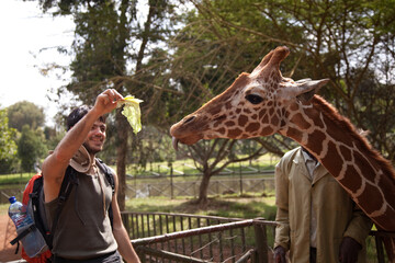 portrait of a tourist man in Africa feeding a giraffe  © Tina
