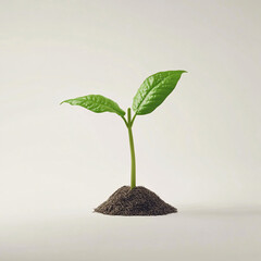 single green sprout growing from dirt against a white background