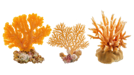 Colorful Coral Showcasing Marine Life and Diversity Generative AI