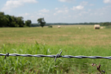 barbed wire fence in front of hay field in Texas