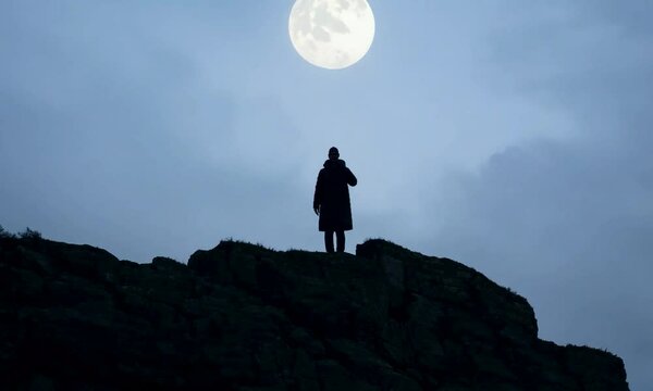 Handheld shot with diffuse moonlight: The camera starts with a close-up of a person&rsquo;s silhouette standing on a rocky outcrop. The camera moves in a handheld fashion to reveal the figure bathed in gent