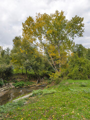 Obraz premium Autumn view of South Park in city of Sofia, Bulgaria