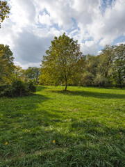 Autumn view of South Park in city of Sofia, Bulgaria