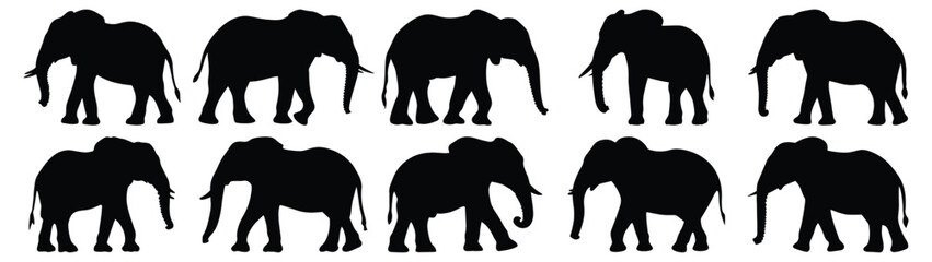 Elephant silhouettes set, animal pack of vector silhouette design, isolated background. © FutureFFX