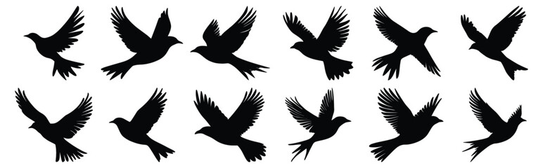 Bird silhouettes set, flying pack of vector silhouette design, isolated background.