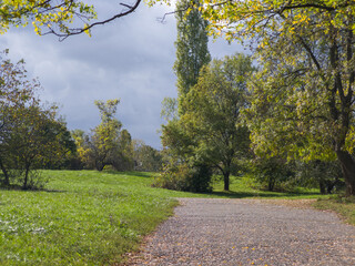 Obraz premium Autumn view of South Park in city of Sofia, Bulgaria