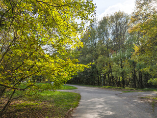 Obraz premium Autumn view of South Park in city of Sofia, Bulgaria