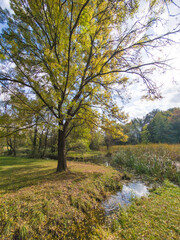 Fototapeta premium Autumn view of South Park in city of Sofia, Bulgaria