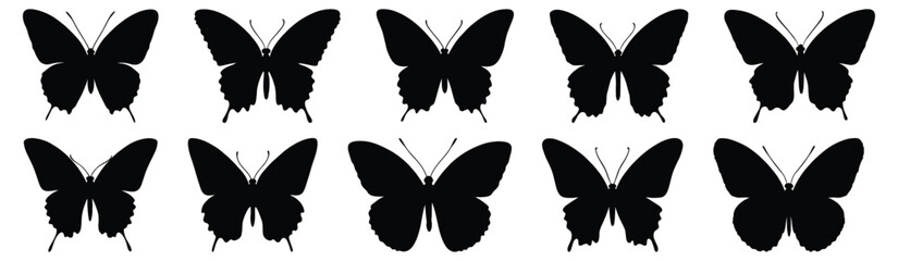 Butterfly silhouette set vector design big pack of insect illustration and icon