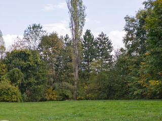 Autumn view of South Park in city of Sofia, Bulgaria