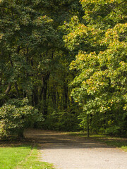 Obraz premium Autumn view of South Park in city of Sofia, Bulgaria