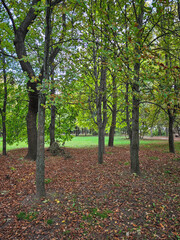 Fototapeta premium Autumn view of South Park in city of Sofia, Bulgaria
