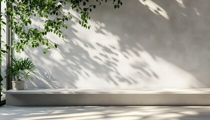 Abstract Studio Concrete Table White Texture Light Texture Mockup Product Marble Room Display Plant Cement 3d Background Minimal Shelf Bar Leaves Backdrop.