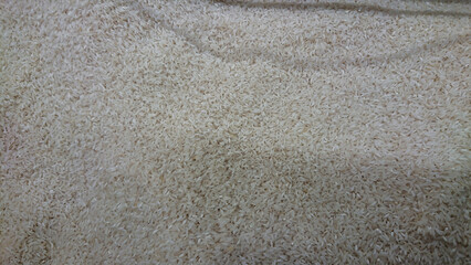 Close-up of raw rice grains.