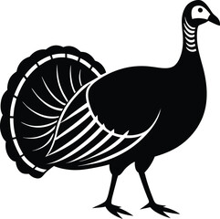 Black silhouette of a turkey. Vector illustration isolated on white background