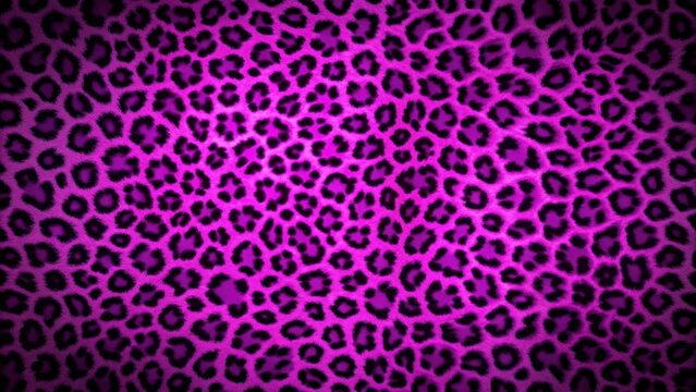 Vibrant neon purple leopard print design on a dark background, neon, purple, leopard, print, pattern, wild, animal, vibrant