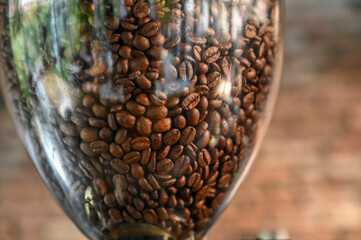 Roasted coffee in a coffee grinder in a cafe. Fresh espresso coffee.