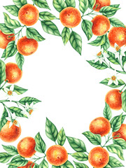 Watercolor tangerine wreath with gold. Hand-drawn tangerines isolated on white. Tangerines for textile, fabric, clothing and packaging design