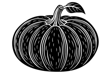 A pumpkin vintage woodcut illustration in a vintage style 