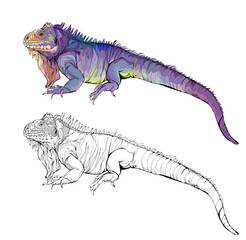 Colorful and black and white page for coloring book. Illustration of an African iguana. Printable worksheet for children. Drawing for encyclopedia. Flat vector image. Animals for kids.